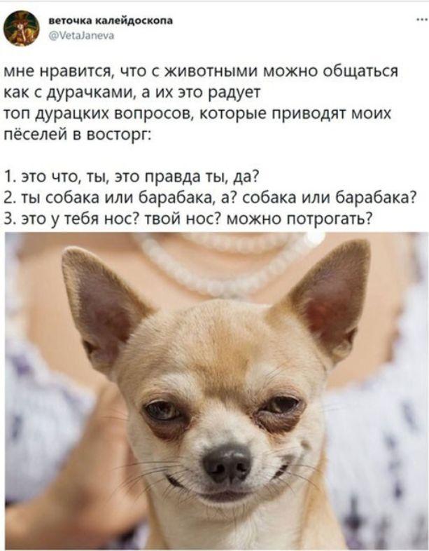 Подборка легкого юмора для Вас Подборка легкого юмора для Вас Юмор