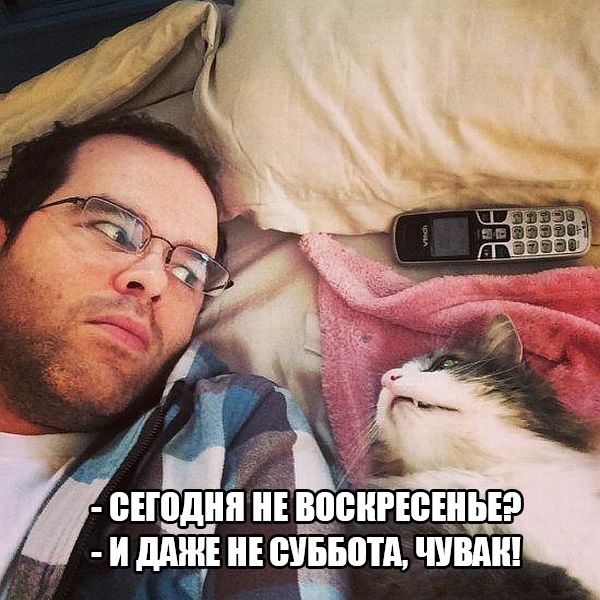 Подборка легкого юмора для Вас Подборка легкого юмора для Вас Юмор