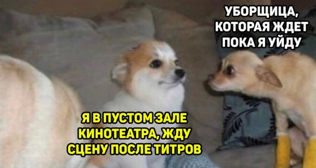 Подборка легкого юмора для Вас Подборка легкого юмора для Вас Юмор