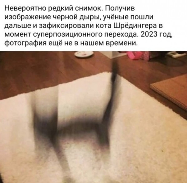 Подборка легкого юмора для Вас Подборка легкого юмора для Вас Юмор