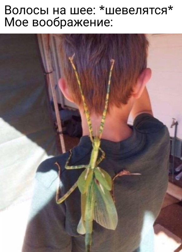 Свежая порция юмора и позитива Юмор