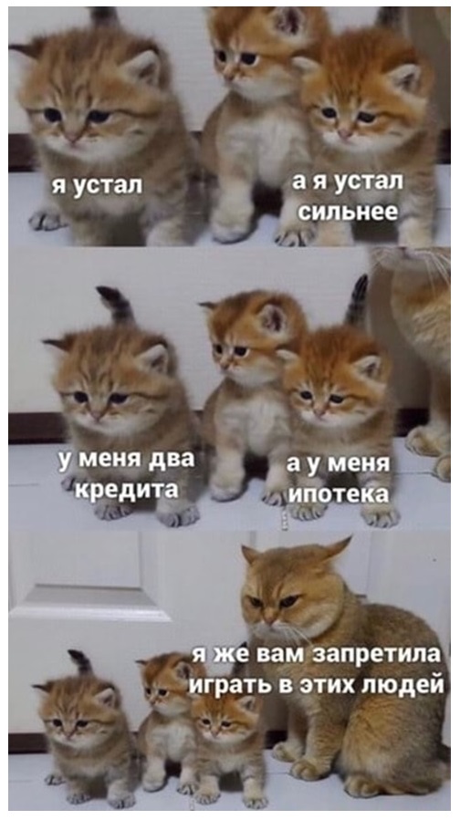 Свежая порция юмора и позитива Юмор