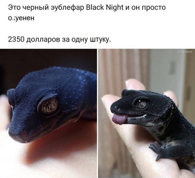 Свежая порция юмора и позитива Юмор