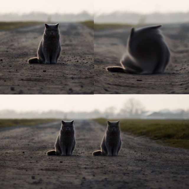 Свежая порция юмора и позитива Юмор