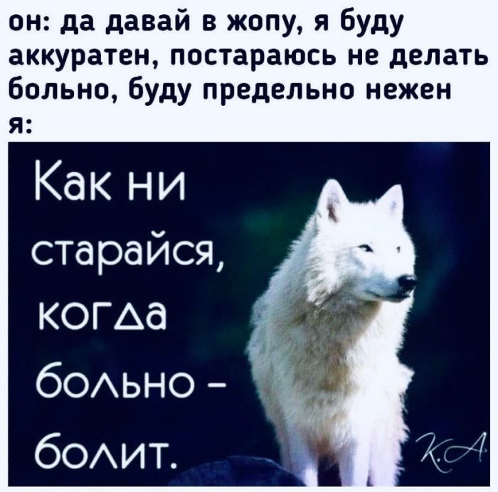 Развратный юмор Развратный юмор Юмор