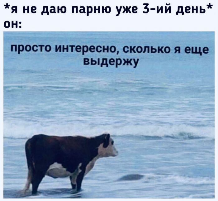 Развратный юмор Развратный юмор Юмор