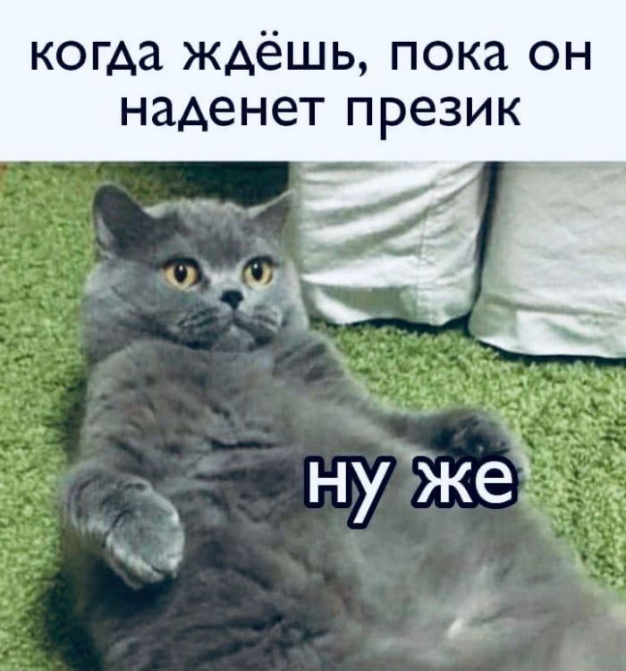 Развратный юмор Развратный юмор Юмор