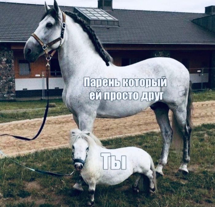 Развратный юмор Развратный юмор Юмор