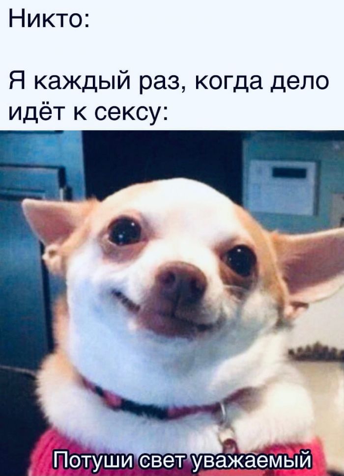 Развратный юмор Развратный юмор Юмор