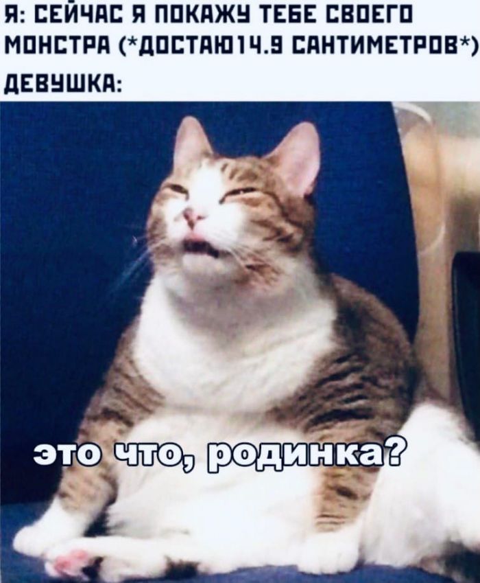 Развратный юмор Развратный юмор Юмор