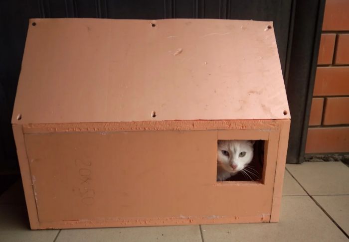 Тёплый домик для котов из пеноплекса Как это сделано