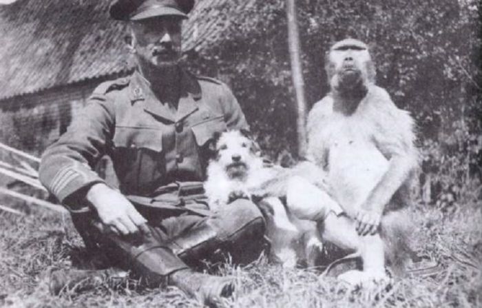 История капрала Джеки — самого необычного героя Первой мировой войны С миру по нитке