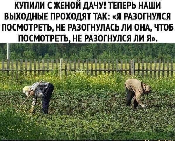 Картинки с надписями смешные Юмор