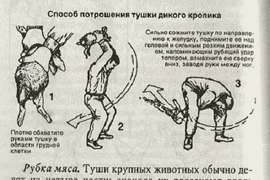 Задорные юмор в картинках для хорошего настроения Юмор