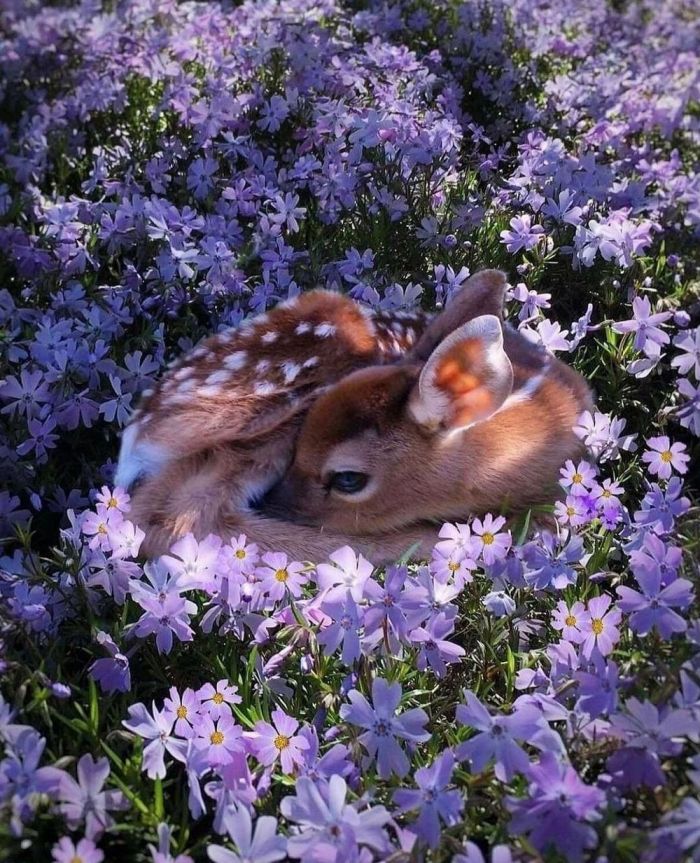 Лучшие фотографии для настроения Лучшие фотографии для настроения Картинки