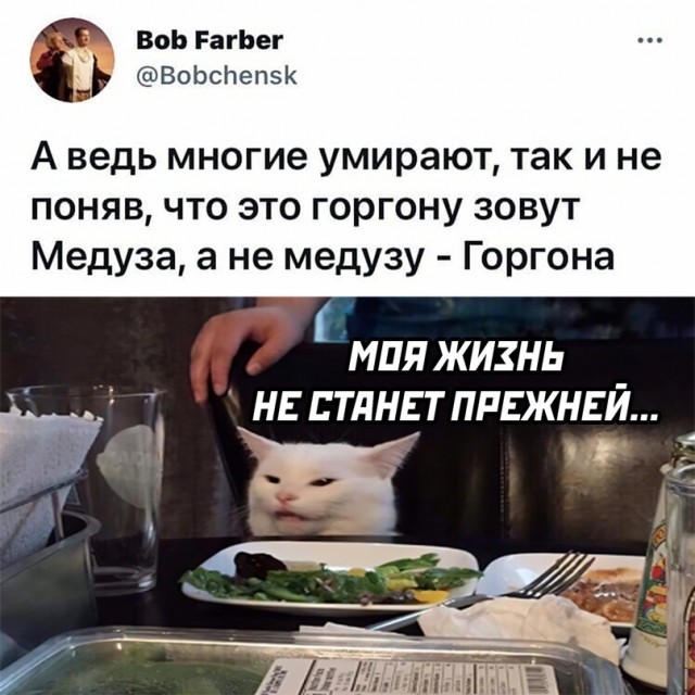 Приколы на среду Юмор