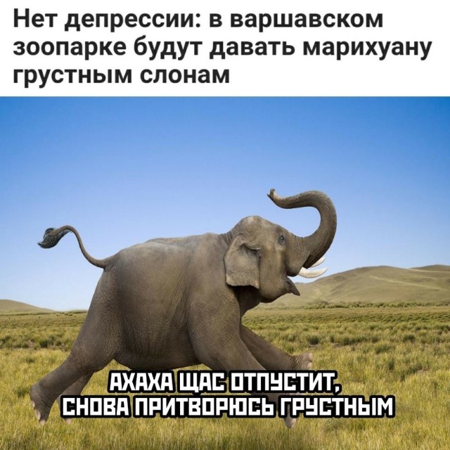 Приколы на среду Юмор