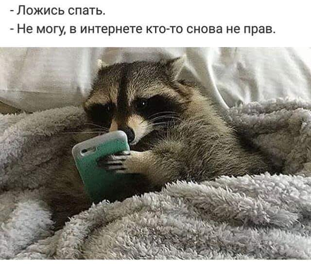 Приколы на среду Юмор