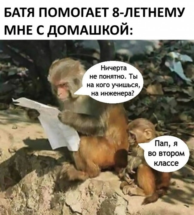 Приколы на среду Юмор