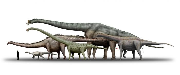 Почему динозавры достигали таких крупных размеров Животные