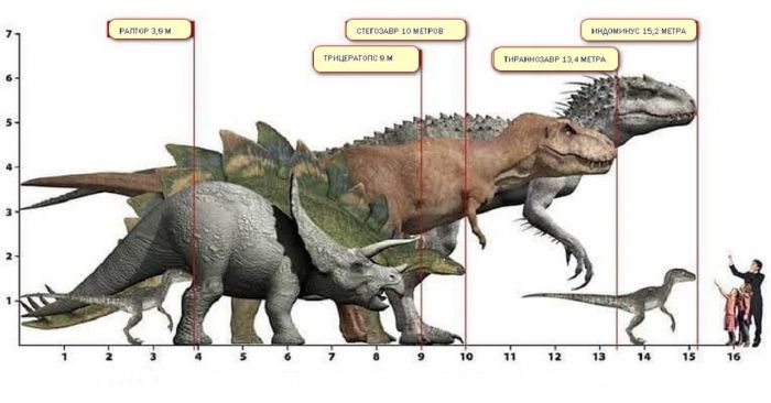 Почему динозавры достигали таких крупных размеров Животные