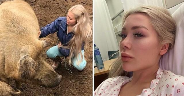 Норвежская блогерша едва не погибла во время селфи с домашней свиньей Животные