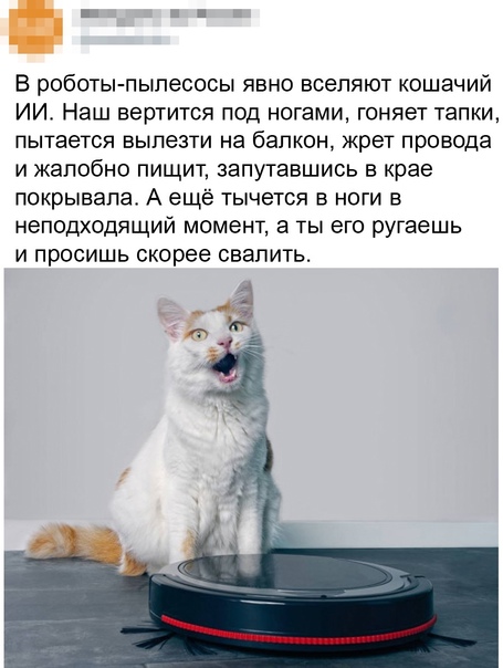 1634832406_kommentarii-pod-foto-v-socialnyh-setjah-24.jpg
