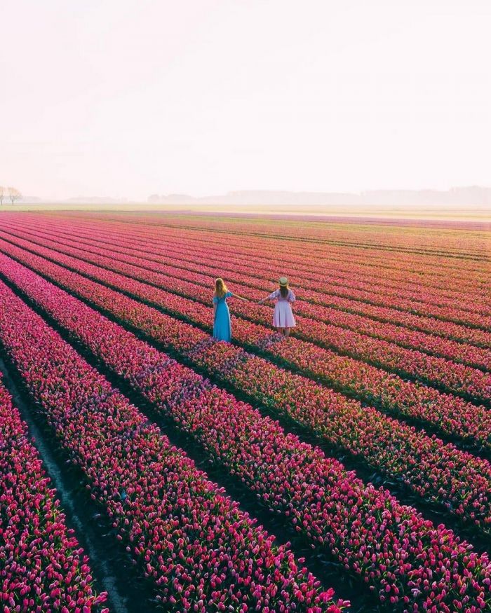 Самая веселая подборка позитивных фотографий Картинки