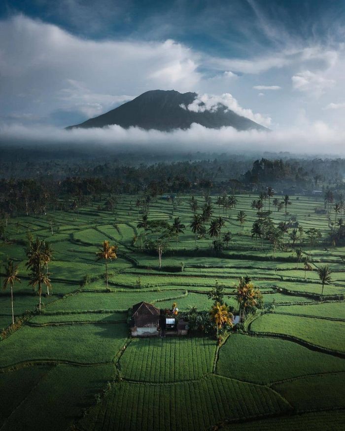 Самая веселая подборка позитивных фотографий Картинки