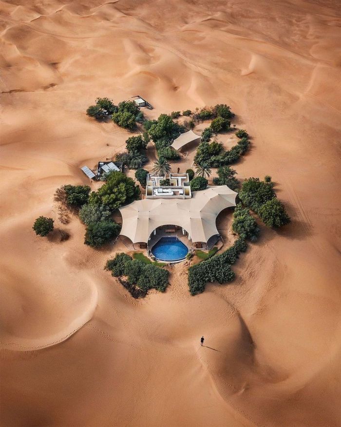 Самая веселая подборка позитивных фотографий Картинки