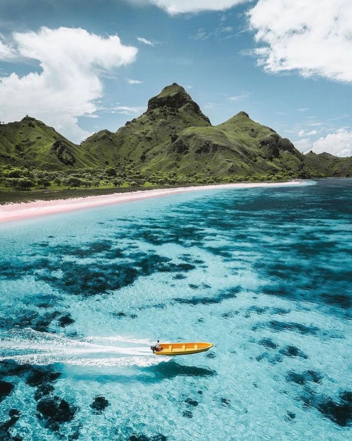 Самая веселая подборка позитивных фотографий Картинки