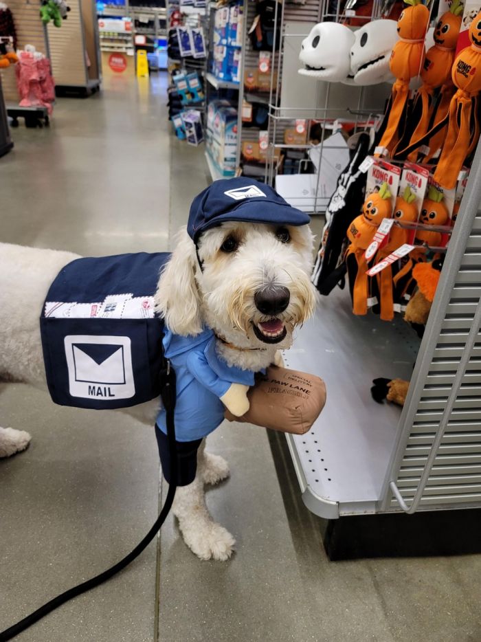 Самая веселая подборка позитивных фотографий Картинки