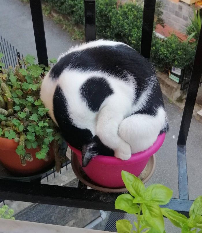 Самая веселая подборка позитивных фотографий Картинки