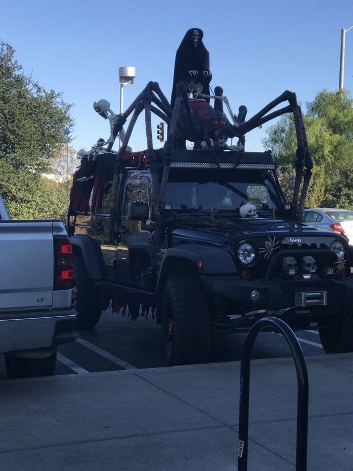 Самая веселая подборка позитивных фотографий Картинки