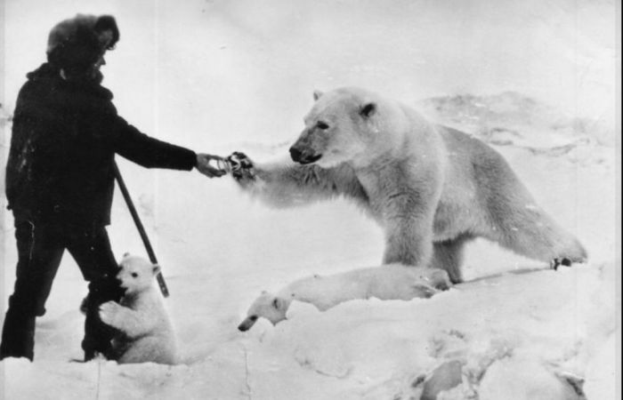 Самая веселая подборка позитивных фотографий Картинки