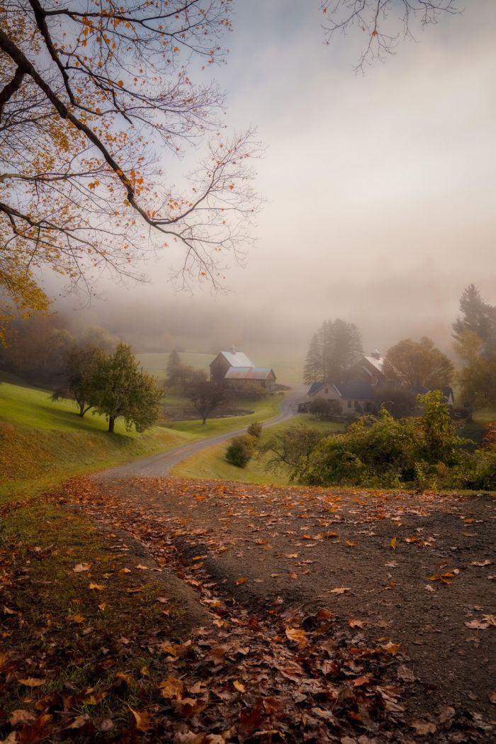 Самая веселая подборка позитивных фотографий Картинки