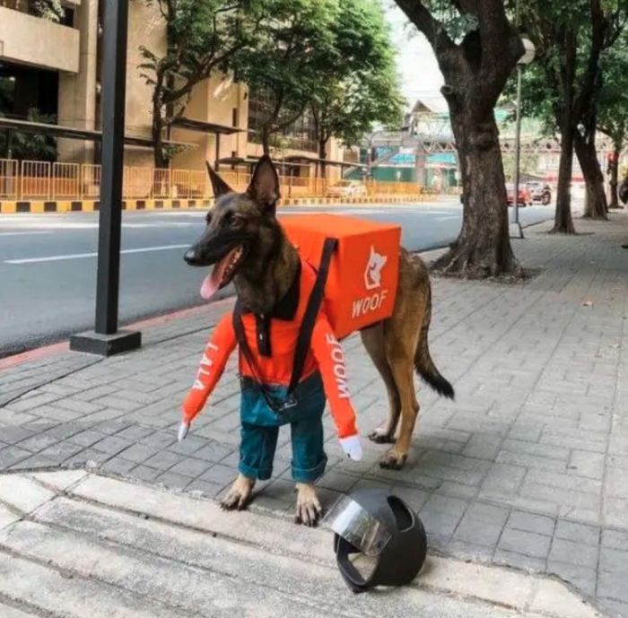 Самая веселая подборка позитивных фотографий Картинки