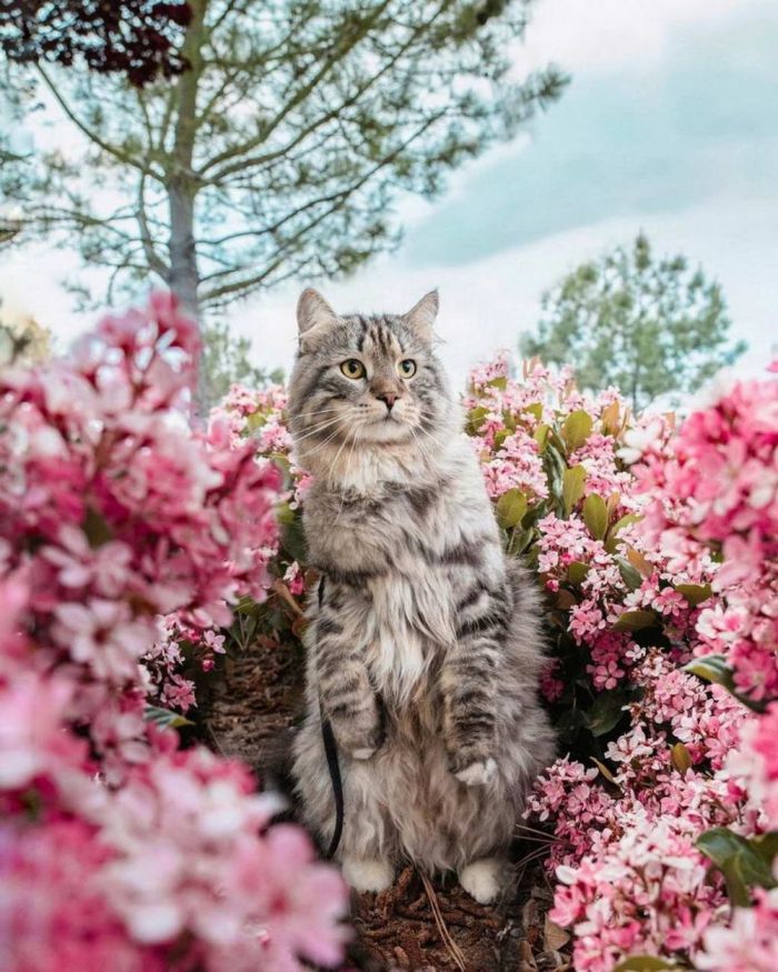 Самая веселая подборка позитивных фотографий Картинки