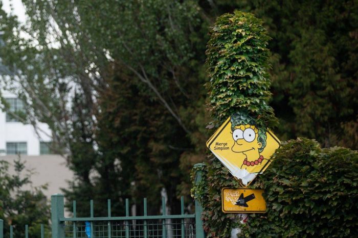 Самая веселая подборка позитивных фотографий Картинки