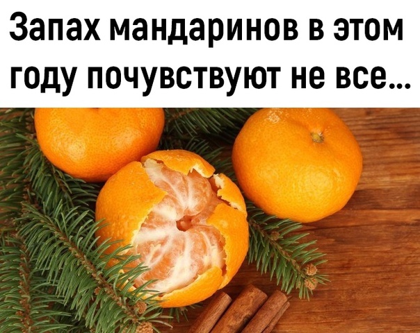 Пятничная доза юмора Юмор