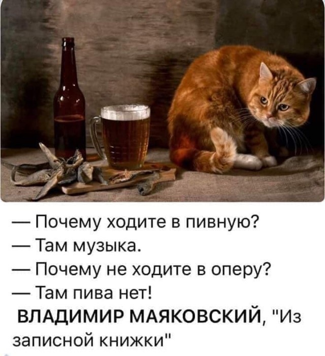 Юмор в выходной день Юмор