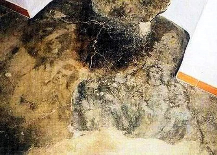 «Лица Белмеса» — в доме испанской семьи появляются странные портреты на полу С миру по нитке