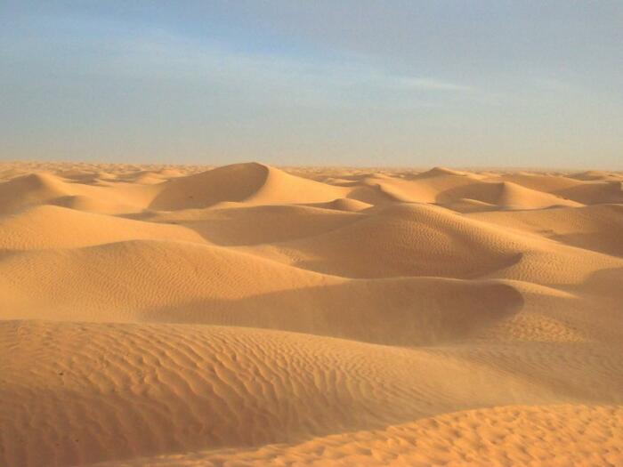 Зачем Саудовская Аравия покупает песок в других странах С миру по нитке