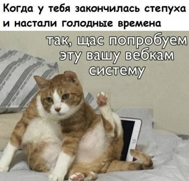 Аморальные картинки