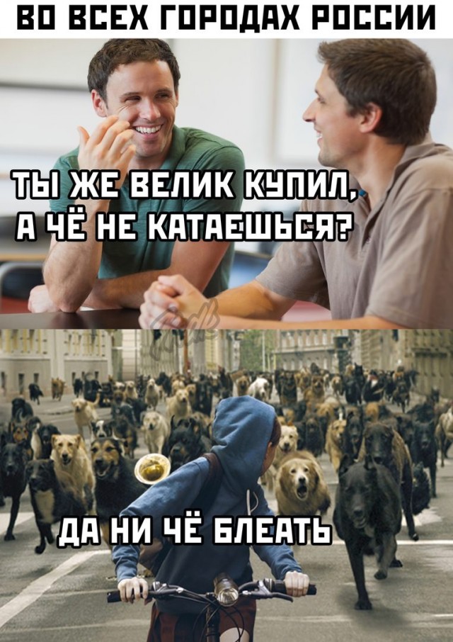 Позитив в картинках на начало недели Юмор