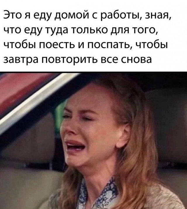 Позитив в картинках на начало недели Юмор