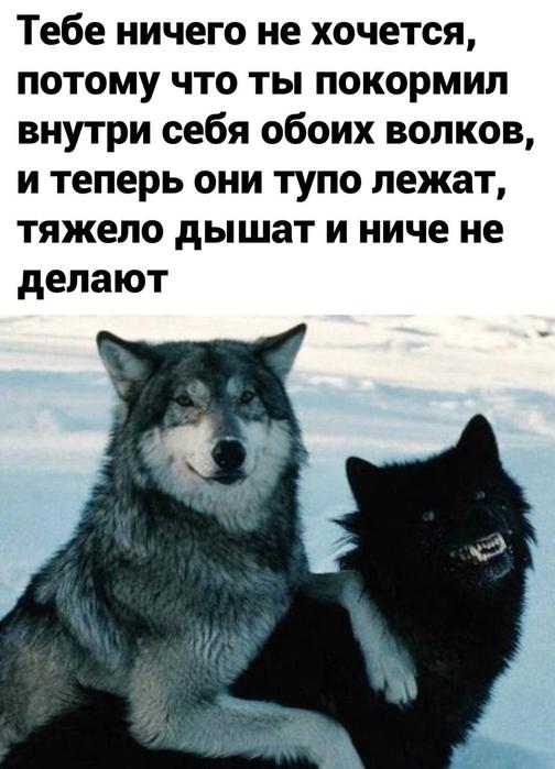 Позитив в картинках на начало недели Юмор