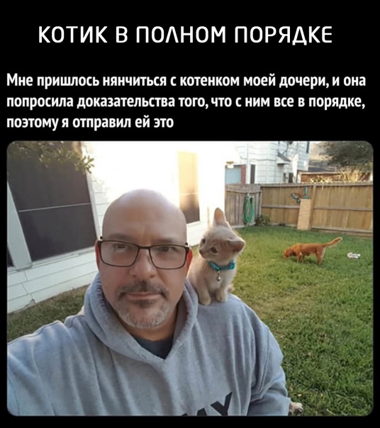 Позитив в картинках на начало недели Юмор