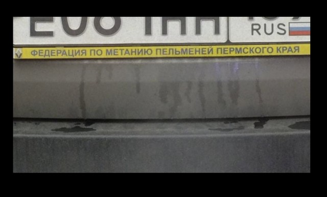 Позитив в картинках на начало недели Юмор