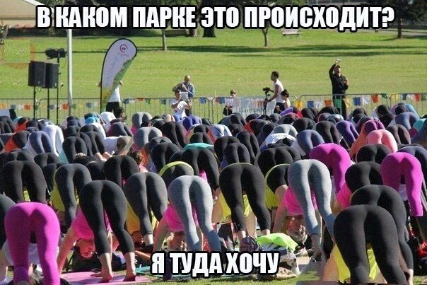 Позитив в картинках на начало недели Юмор